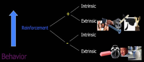 reinforcers-from-extrinsic.jpg