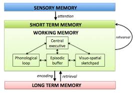 working-memory.jpg
