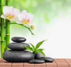 zen-1.jpg