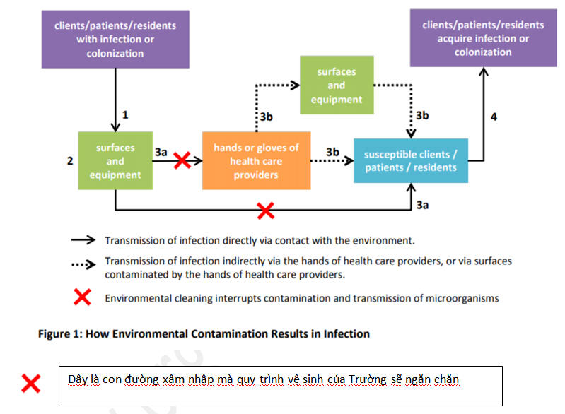 road-to-infection.jpg