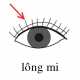 100-longmi