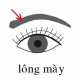101-longmay