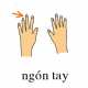 103-ngontay