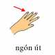 108-ngonut