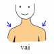 120-vai