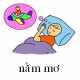 137-nammo
