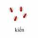 621_kien