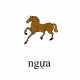622_ngua