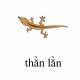 625_thanlan