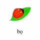 630_bo