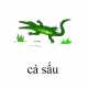 632_casau