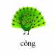 638_cong