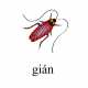 639_gian