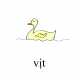 644_vit