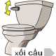 ve-sinh